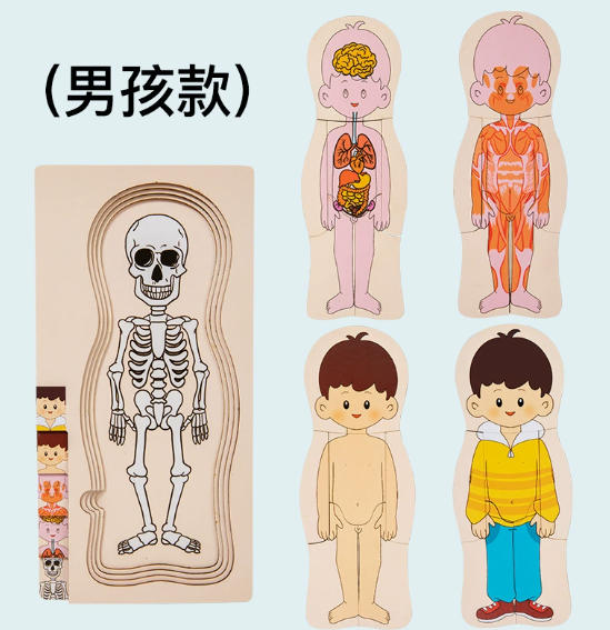 My Body Parts Puzzle for Toddlers Kids, Montessori Wooden Anatomy Puzzle
