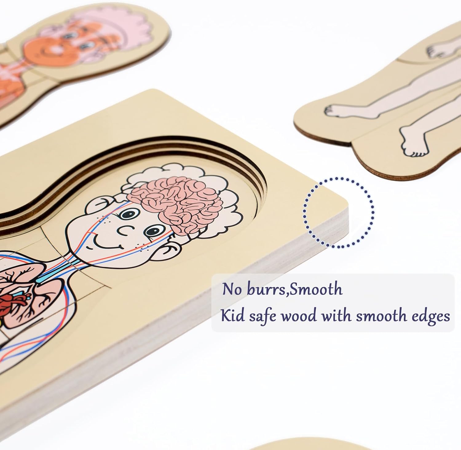 My Body Parts Puzzle for Toddlers Kids, Montessori Wooden Anatomy Puzzle
