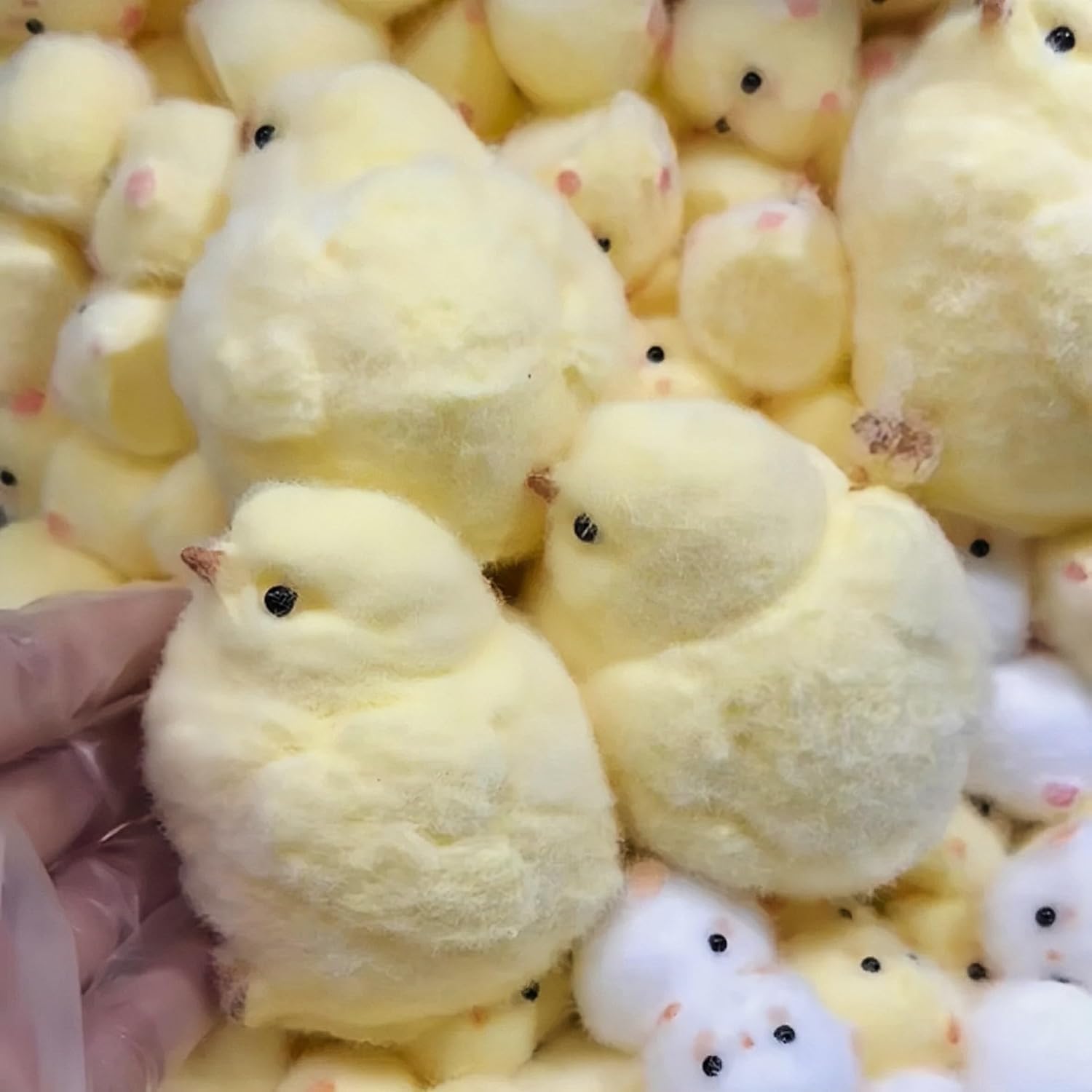 Handmade Ultra Soft Chick Taba Squishy Fidget Toy