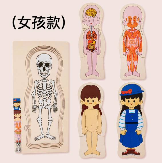 My Body Parts Puzzle for Toddlers Kids, Montessori Wooden Anatomy Puzzle